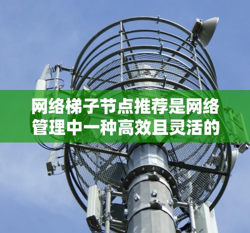 网络梯子节点推荐是网络管理中一种高效且灵活的策略，旨在根据网络拓扑结构和性能指标推荐特定的节点以优化网络性能和解决问题。以下是对网络梯子节点推荐的详细分析和总结