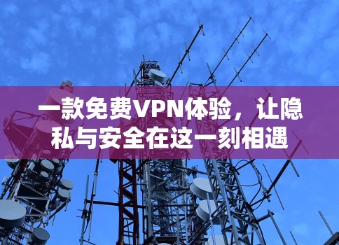 一款免费VPN体验，让隐私与安全在这一刻相遇