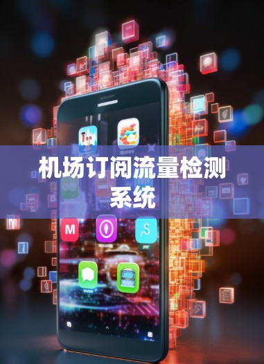 机场订阅流量检测系统