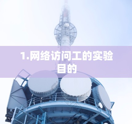 1.网络访问工的实验目的