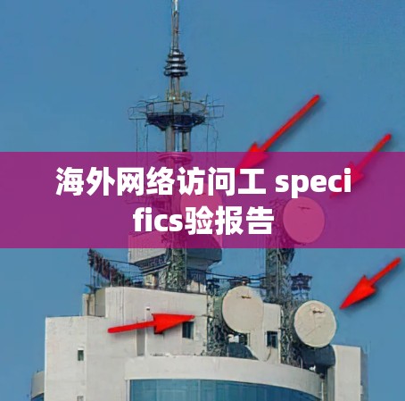 海外网络访问工 specifics验报告