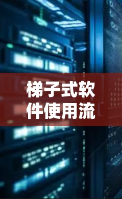 梯子式软件使用流程
