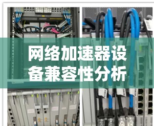 网络加速器设备兼容性分析，如何检查和优化