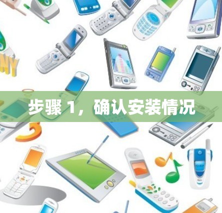 步骤 1，确认安装情况