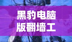 黑豹电脑版翻墙工具,身份保护与数据安全的完美融合 黑豹电脑版翻墙工具,身份保护与数据安全的完美融合