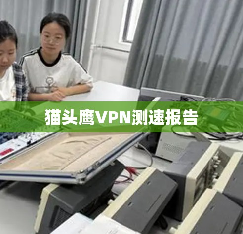 猫头鹰VPN测速报告 猫头鹰VPN测速报告