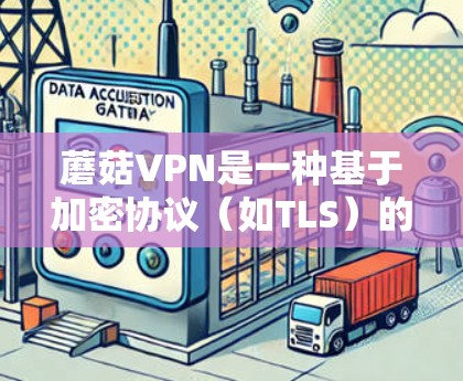 蘑菇VPN是一种基于加密协议（如TLS）的网络服务，主要用于VPN、视频会议、文件传输等。科学上网设置是确保网络安全、数据安全和设备安全的重要步骤。以下是一些科学设置的步骤