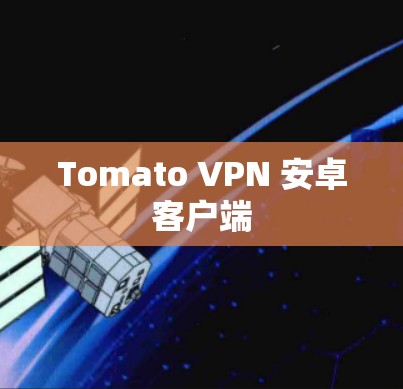 Tomato VPN 安卓客户端