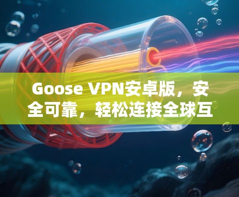 Goose VPN安卓版，安全可靠，轻松连接全球互联网