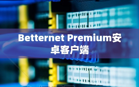 Betternet Premium安卓客户端 Betternet Premium安卓客户端
