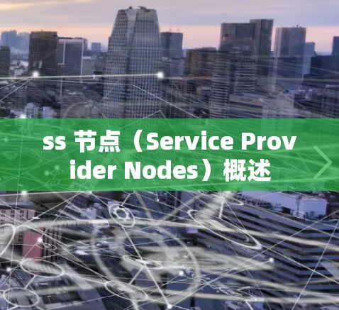 ss 节点(Service Provider Nodes)概述 ss 节点(Service Provider Nodes)概述