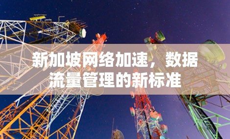 新加坡网络加速,数据流量管理的新标准 新加坡网络加速,数据流量管理的新标准