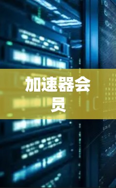 加速器会员
