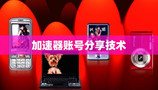 加速器账号分享技术
