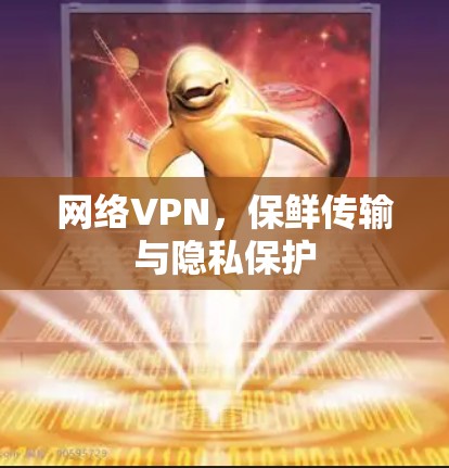 网络VPN，保鲜传输与隐私保护