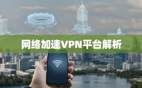 网络加速VPN平台解析