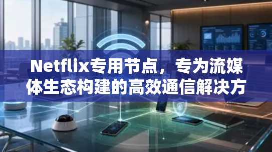 Netflix专用节点，专为流媒体生态构建的高效通信解决方案