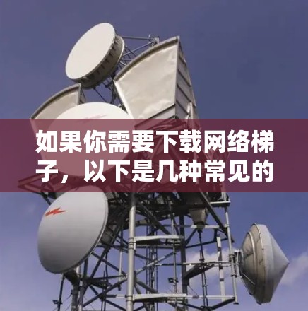 如果你需要下载网络梯子，以下是几种常见的方法