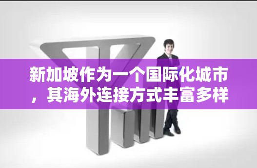 新加坡作为一个国际化城市，其海外连接方式丰富多样，涵盖了银行、金融公司、保险、旅游、医疗、法律和教育等多个领域。以下是新加坡主要的海外连接方式及其特点