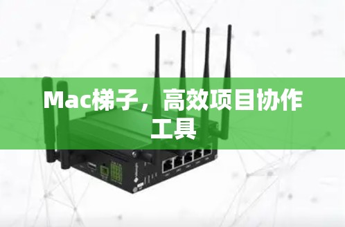 Mac梯子,高效项目协作工具 Mac梯子,高效项目协作工具