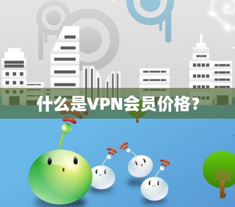 什么是VPN会员价格？