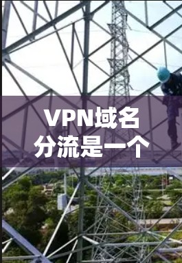 VPN域名分流是一个复杂且重要的技术问题，涉及多方面的技术和管理知识。以下是一些关键步骤和考虑因素，帮助您更好地管理和维护VPN的域名