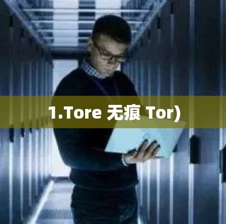 1.Tore 无痕 Tor)