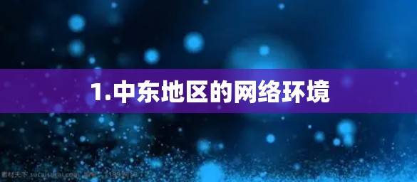 1.中东地区的网络环境