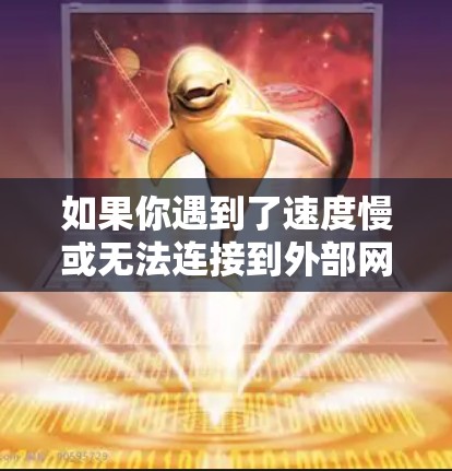 如果你遇到了速度慢或无法连接到外部网络的问题，可以考虑以下方法