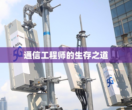 通信工程师的生存之道 通信工程师的生存之道